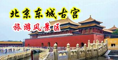 日美韩性爱无码区中国北京-东城古宫旅游风景区